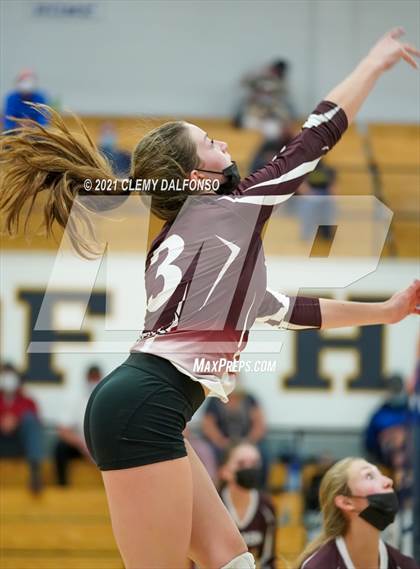 Thumbnail 1 in Golden @ Evergreen photogallery.