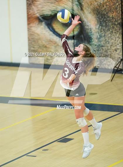 Thumbnail 1 in Golden @ Evergreen photogallery.