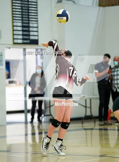 Thumbnail 1 in Golden @ Evergreen photogallery.