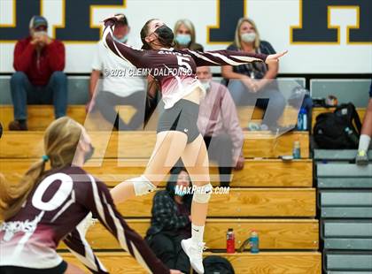 Thumbnail 1 in Golden @ Evergreen photogallery.