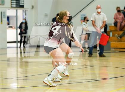 Thumbnail 3 in Golden @ Evergreen photogallery.