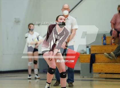 Thumbnail 3 in Golden @ Evergreen photogallery.