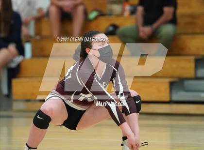 Thumbnail 2 in Golden @ Evergreen photogallery.