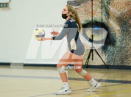 Thumbnail 1 in Golden @ Evergreen photogallery.