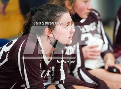 Thumbnail 3 in Golden @ Evergreen photogallery.