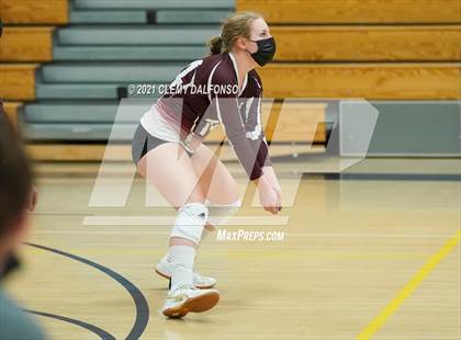 Thumbnail 1 in Golden @ Evergreen photogallery.