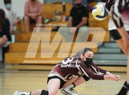 Thumbnail 3 in Golden @ Evergreen photogallery.