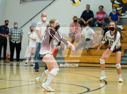 Thumbnail 3 in Golden @ Evergreen photogallery.