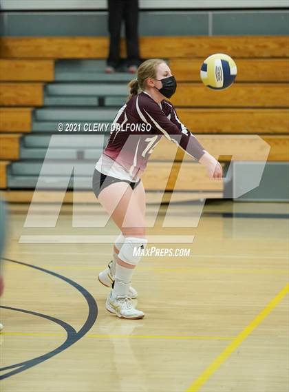 Thumbnail 1 in Golden @ Evergreen photogallery.