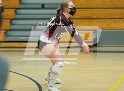 Thumbnail 2 in Golden @ Evergreen photogallery.