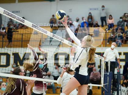 Thumbnail 1 in Golden @ Evergreen photogallery.