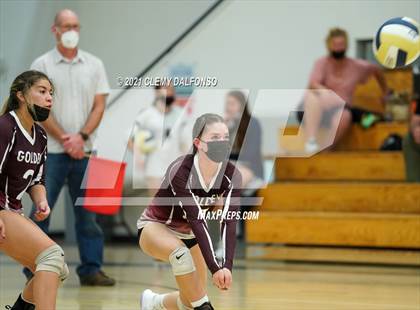 Thumbnail 3 in Golden @ Evergreen photogallery.