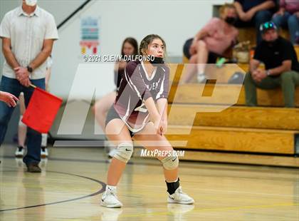 Thumbnail 3 in Golden @ Evergreen photogallery.