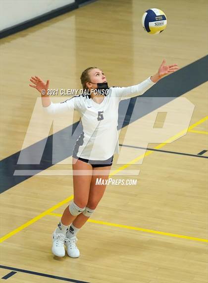 Thumbnail 3 in Golden @ Evergreen photogallery.