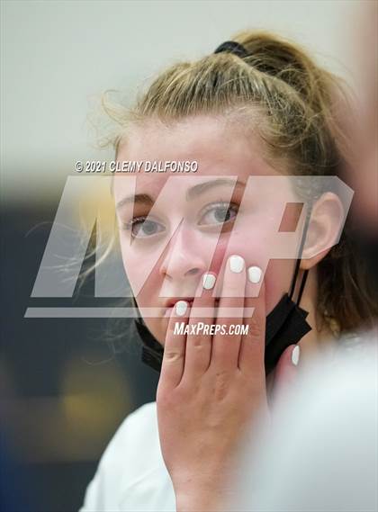 Thumbnail 3 in Golden @ Evergreen photogallery.