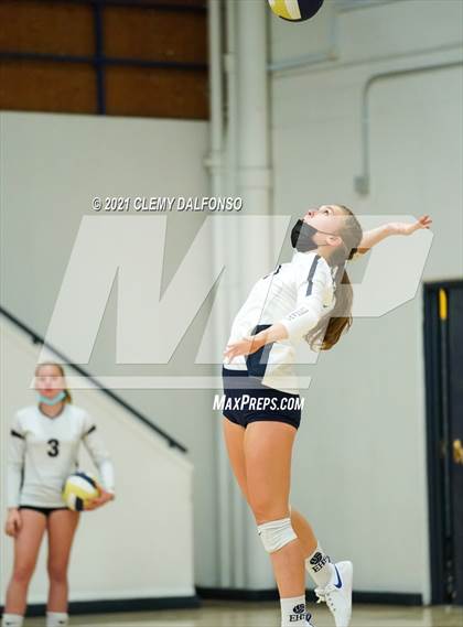 Thumbnail 1 in Golden @ Evergreen photogallery.