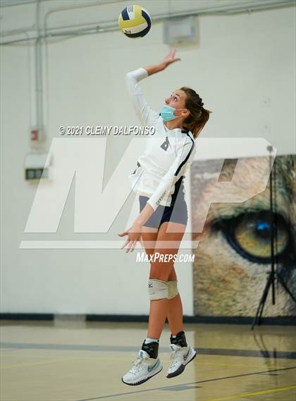 Thumbnail 1 in Golden @ Evergreen photogallery.