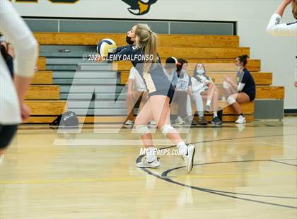 Thumbnail 3 in Golden @ Evergreen photogallery.