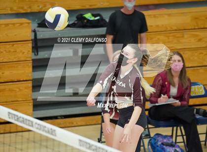 Thumbnail 3 in Golden @ Evergreen photogallery.