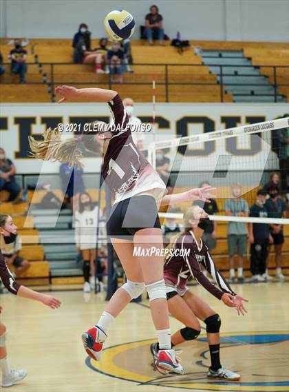 Thumbnail 1 in Golden @ Evergreen photogallery.