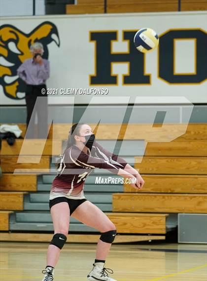 Thumbnail 1 in Golden @ Evergreen photogallery.