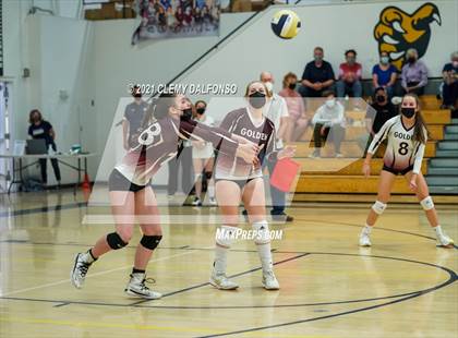 Thumbnail 1 in Golden @ Evergreen photogallery.