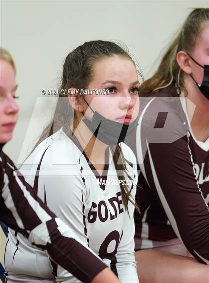 Thumbnail 1 in Golden @ Evergreen photogallery.