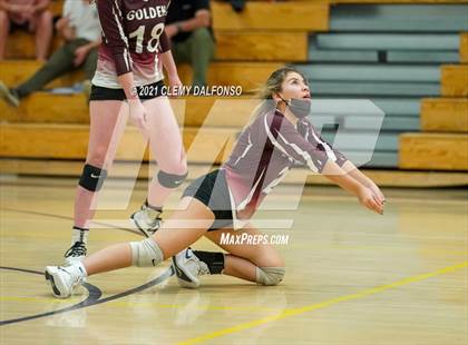 Thumbnail 1 in Golden @ Evergreen photogallery.