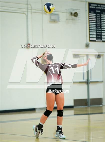 Thumbnail 3 in Golden @ Evergreen photogallery.