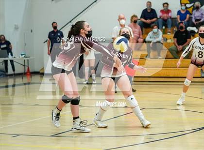 Thumbnail 1 in Golden @ Evergreen photogallery.