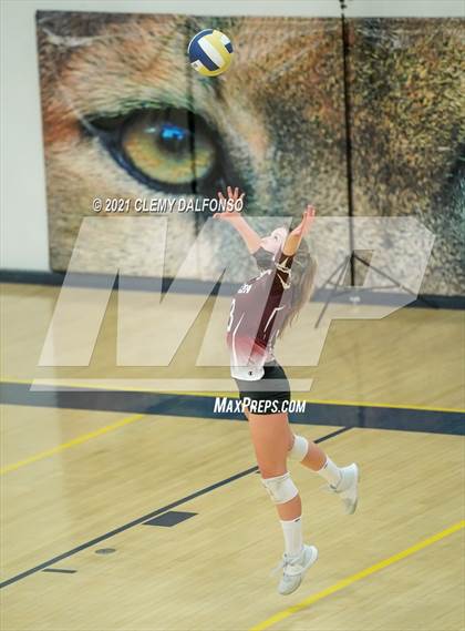 Thumbnail 3 in Golden @ Evergreen photogallery.