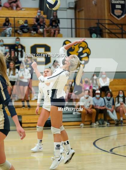 Thumbnail 3 in Golden @ Evergreen photogallery.