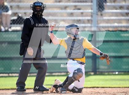 Thumbnail 2 in Frederick vs Marana (Chris Moon Memorial) photogallery.