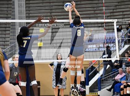 Thumbnail 1 in Clark vs. O'Connor (UIL 6A Regional Final) photogallery.