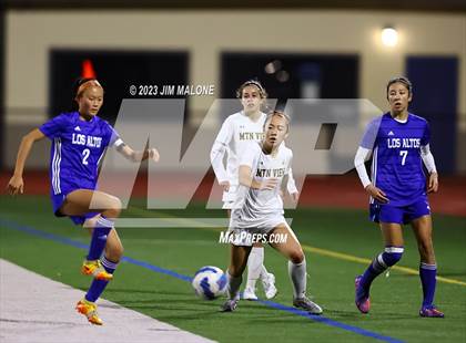 Thumbnail 1 in Mountain View @ Los Altos photogallery.
