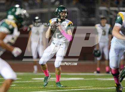 Thumbnail 3 in University City @ Patrick Henry (Homecoming) photogallery.