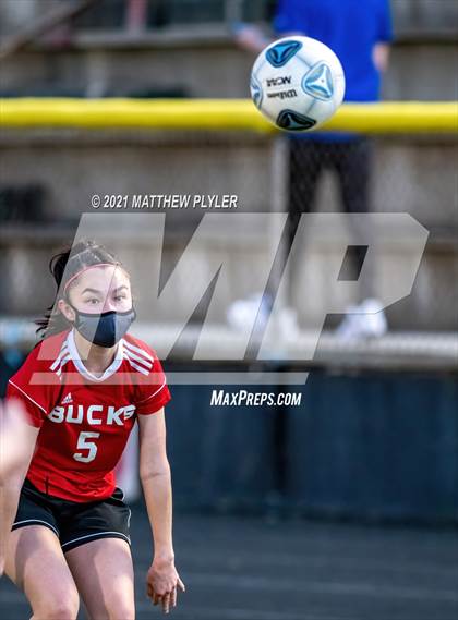 Thumbnail 1 in Scotland @ Hoke County photogallery.