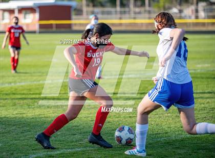 Thumbnail 1 in Scotland @ Hoke County photogallery.