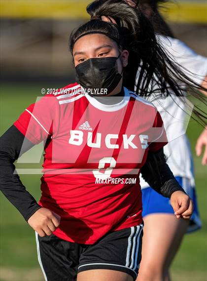 Thumbnail 3 in Scotland @ Hoke County photogallery.