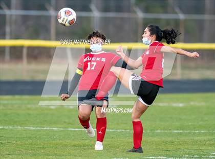 Thumbnail 3 in Scotland @ Hoke County photogallery.