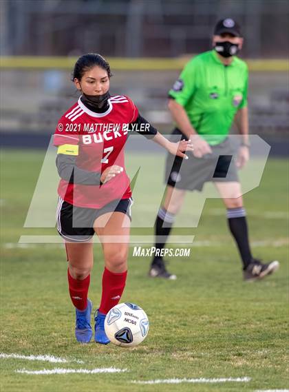 Thumbnail 1 in Scotland @ Hoke County photogallery.