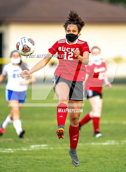 Thumbnail 1 in Scotland @ Hoke County photogallery.