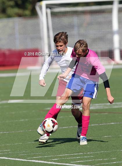 Thumbnail 1 in Middletown @ Caravel photogallery.