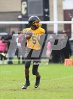Photo from the gallery "King @ Cass Tech"