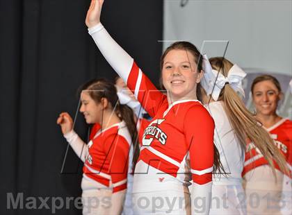 Thumbnail 3 in PIAA Competitive Spirit Championships (Small Squad Finals) photogallery.