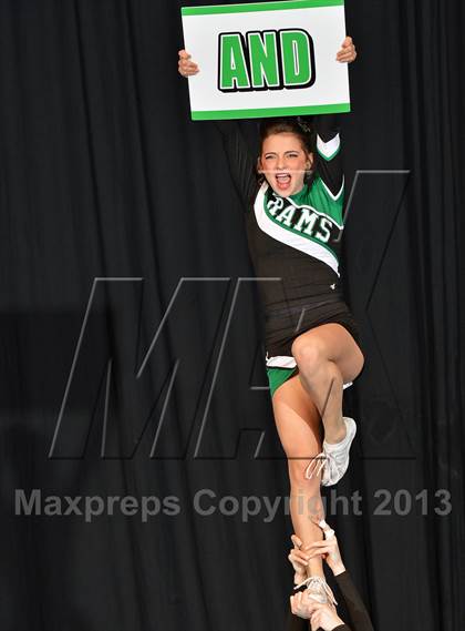 Thumbnail 2 in PIAA Competitive Spirit Championships (Small Squad Finals) photogallery.