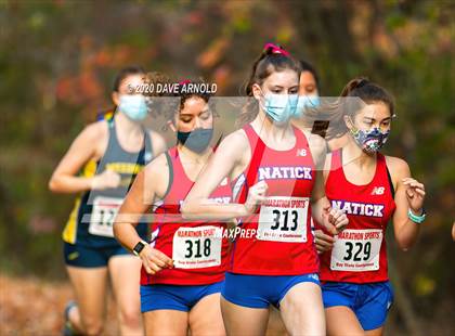 Thumbnail 1 in Natick @ Needham photogallery.