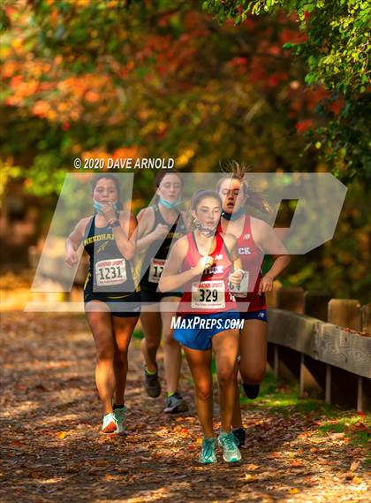 Thumbnail 1 in Natick @ Needham photogallery.
