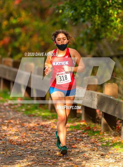 Thumbnail 1 in Natick @ Needham photogallery.