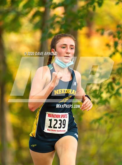 Thumbnail 1 in Natick @ Needham photogallery.